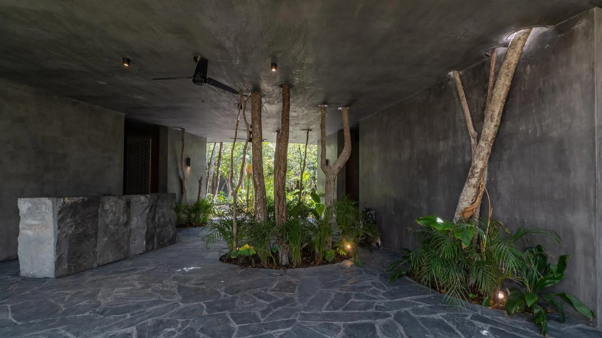 4Br Amazing Condo With Private Pool In Tulum By Solmar Rentals 0*,
